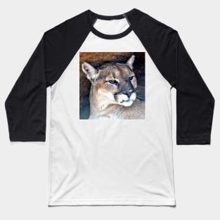 Female Mountain Lion Baseball T-Shirt